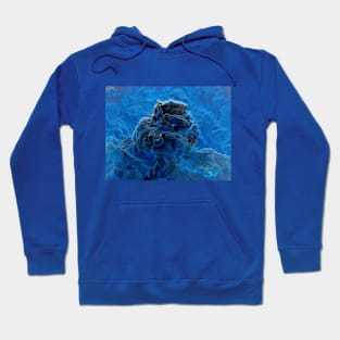 Tempest on a Small Islet Hoodie